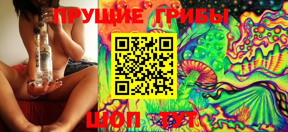 Кстово  Псилоцибиновые грибы MAGIC MUSHROOMS  Вход с VPN 